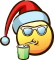 santa_summer emote