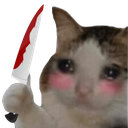 50886catstab emote