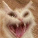 BH_funny emote