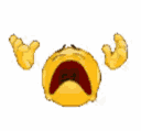 NOO emote