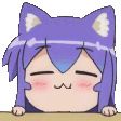 95370peek emote