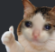 agreedsadly emote
