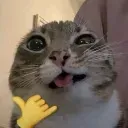 Billa emote