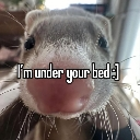 emoji_4 Emote