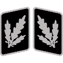 SSBrigadefhrer_Collar_Rank emote