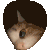 cat_peek emote