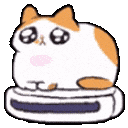 waifunekorollspin emote