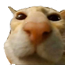 idontunderstand emote
