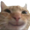catsmile Emote