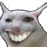SmileCat emote