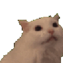 aaaaaa emote
