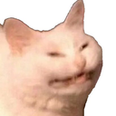 angrycat Emote