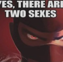 sexes Emote