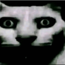 d7a74d7dcd56b81beae5a853a6a4c510 emote