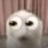 quevoid Emote