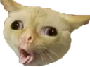 catcough emote