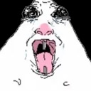WTFF emote