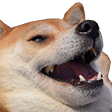 durka_new_31 emote