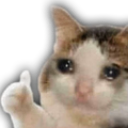 sad_ok emote