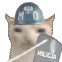CatPopo emote