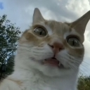 emoji_5 emote