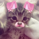 kawaiCat emote