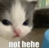 nothehe emote