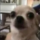 emoji_49 emote