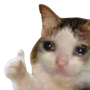 thumbs_up_crying_cat emote
