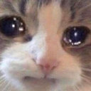 cry Emote