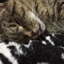 emoji_2 Emote