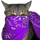 6483purplebandanacat Emote