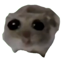 c_sadhamster Emote
