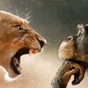 lionandmonkey emote