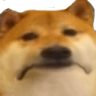 saddog emote