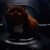 horrocattiny emote