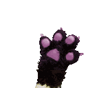Paw emote