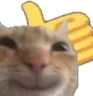 nice Emote