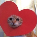 kittylove emote