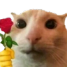 SH_cat_rose Emote