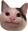 begula emote