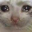 SadCat emote