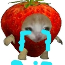 MGO_CryStrawberryCat Emote