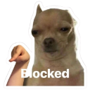 blocked Emote