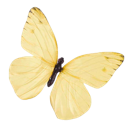 004_butterfly Emote