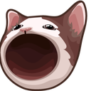 cat_O emote