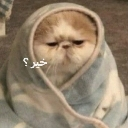 emoji_12 Emote