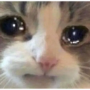 cry emote