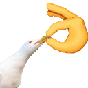 shut Emote
