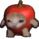 9__applecat emote